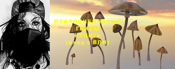 дурь Бородино