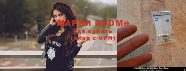 спиды Богородицк