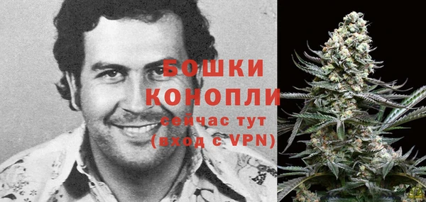 винт Белокуриха