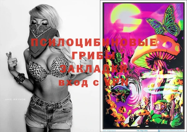 спиды Богородицк