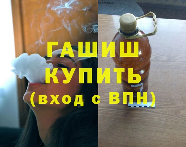 спиды Богородицк