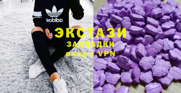 спиды Богородицк