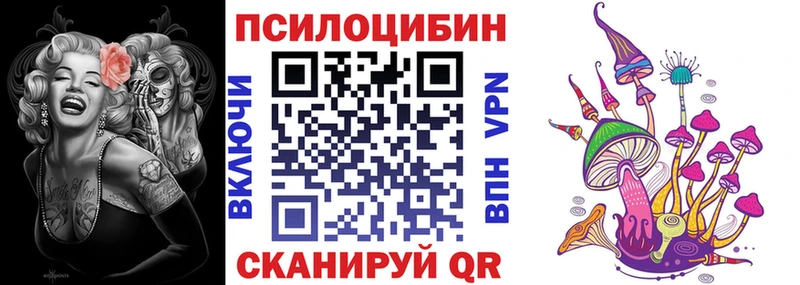 Псилоцибиновые грибы Psilocybe  Вилюйск 